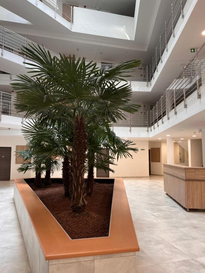 Panorama View Apartment In City Center Хевіз Екстер'єр фото
